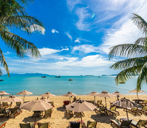 Домінікана